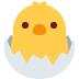 Hatching chick