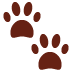 Paw prints